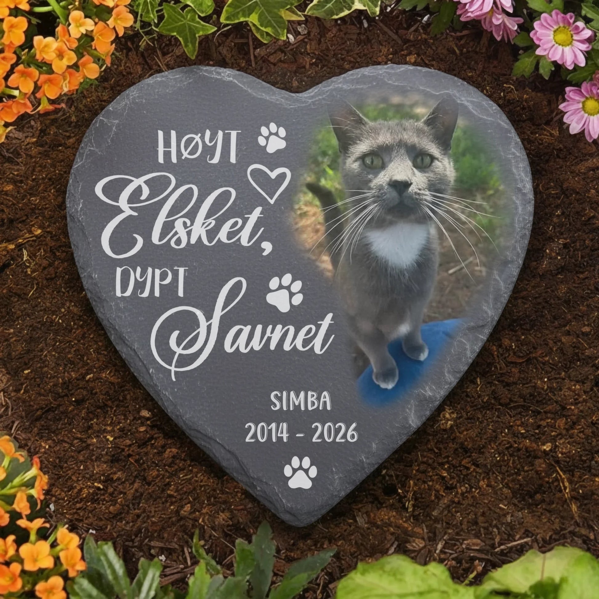 Base stone withiout watermark