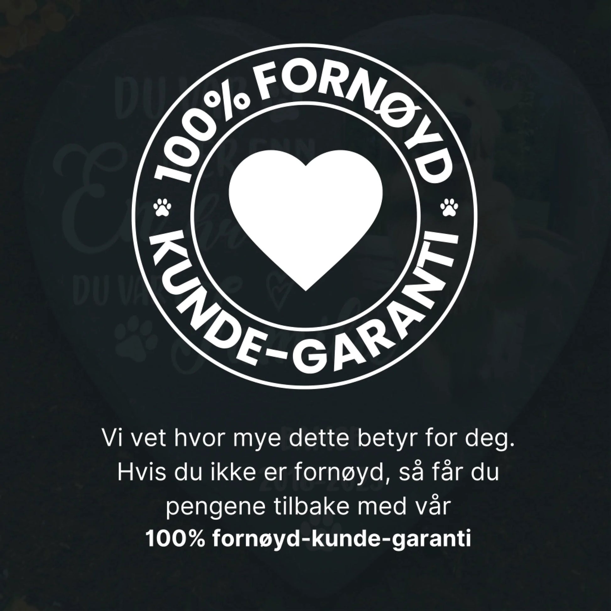 Master Chef logo (1)